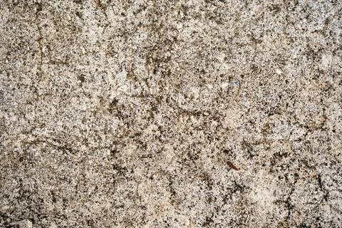Rough Concrete Wall Texture Background Stock Photos