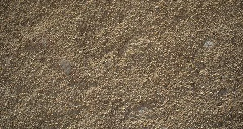 Rough concrete wall texture with sand and gravel under warm sunlight in an .. Fotos de archivo
