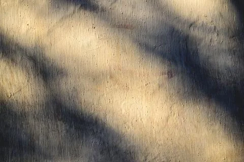Rough concrete wall with tree branch shadows and sunlight pattern Stock Photos