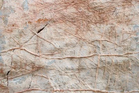 Rough cracked wall with vains Stock Photos
