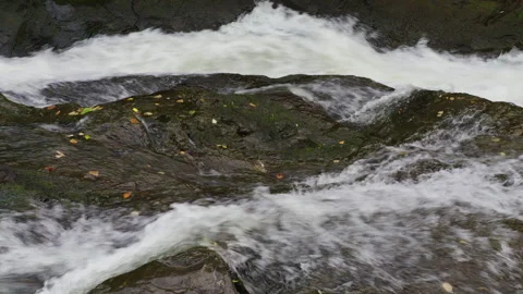 Rough Creek Rapids Pouring Over Mossy Stone Ledges in Norway Vidéo 345719941