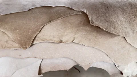 Rough cut leather sheets for crafting in warm, muted tones Stock-Footage 344906771