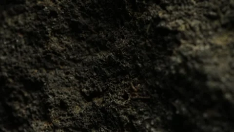 Rough dark stone texture with natural pits Stock Footage 287875748