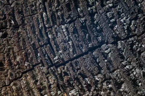 Rough dark wood texture with deep cracks and grain patterns Stock Photos