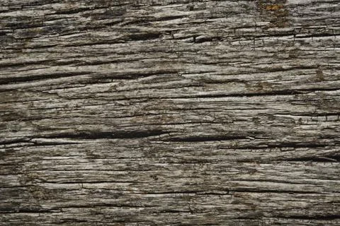 Rough Dark Wood Texture Stock Photos