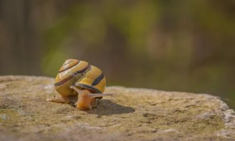 Rough day at the office Stock Photos
