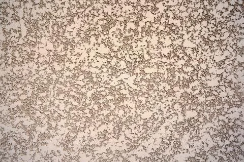 Rough decorative cement plaster on the wall Stock Photos
