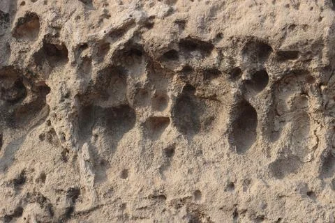 Rough eroded limestone wall texture with porous holes and cavities Stock Photos