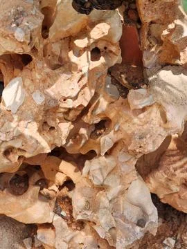 Rough eroded stone texture showing natural patterns Stock-Fotos