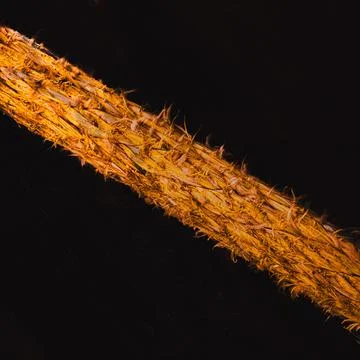 Rough fiber rope close-up with dramatic lighting, abstract background Foto stock