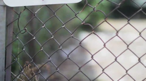 Rough ghetto 스톡 동영상 50816365