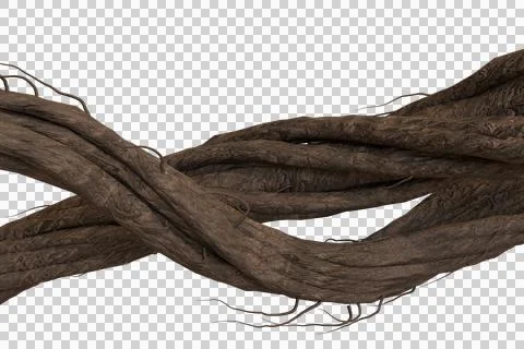 Rough, gnarled, dark brown tree roots or thick vines intertwined horizontal Stock Illustration