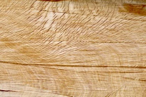 Rough grained split oak log Stock Photos