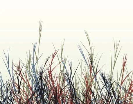 Rough grass Illustrazione stock