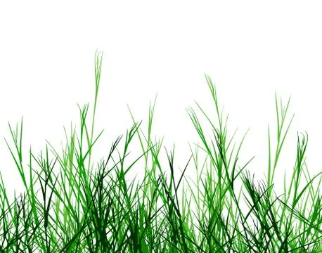Rough grass Stock Illustration