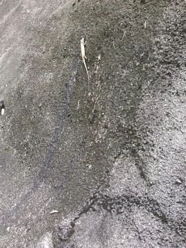 Rough gray wall surface with uneven texture Stock Photos