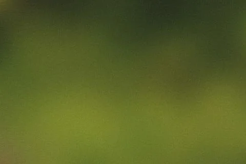 Rough green gradient background with a detailed grainy texture Stock Photos