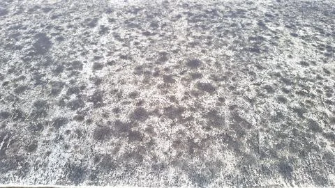 Rough Grey Concrete Surface Texture Weathered Background Stock Photos