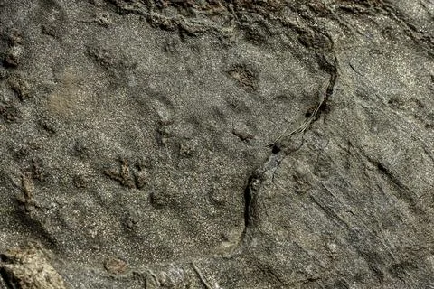 Rough Grey Stone Surface with Cracks and Texture Foto stock