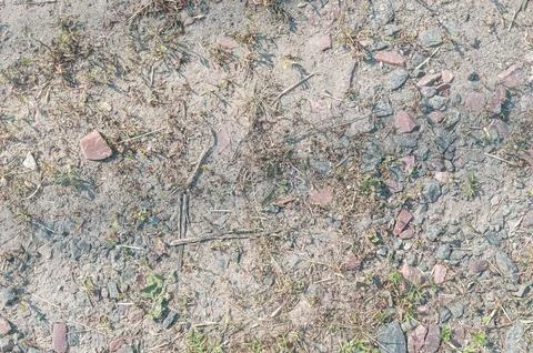 Rough ground texture with small rocks and sparse vegetation- Stock Photos