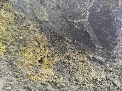 Rough grunge rocky surface template background Photos