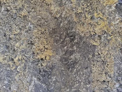 Rough grunge rocky surface template background 写真素材