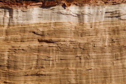 Rough Hewn Oak Stock Photos