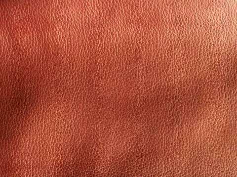 Rough leather Stock Photos