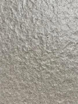 Rough light gray concrete texture with fine grain Stock Photos