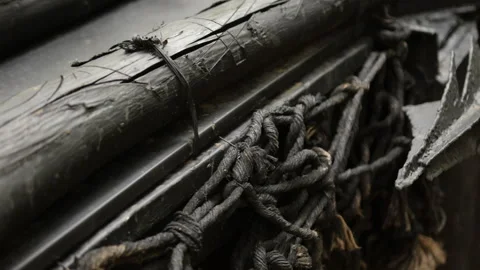 Rough metal, forest setting, war ready Stock-Footage 292565560