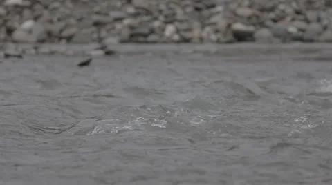 Rough mountain river in Caucasus Stock Footage 51929469