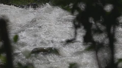 Rough mountain river in Caucasus Stock Footage 54740193