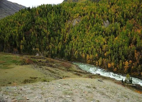 Rough mountain river flowing through a narrow canyon surrounded by high mount Stock Photos