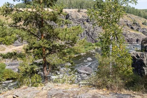 Rough mountain river flows among stones and trees in summer day Stock Photos