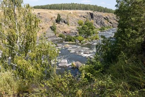 Rough mountain river flows among stones and trees in summer day Stock Photos