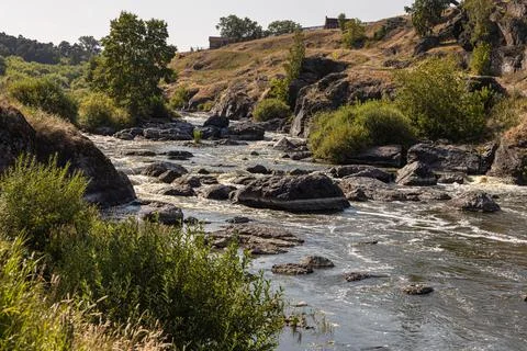 Rough mountain river flows among stones and trees in summer day Stock Photos
