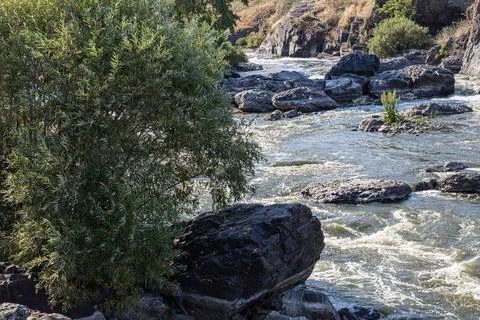 Rough mountain river flows among stones and willow trees in summer day Foto stock