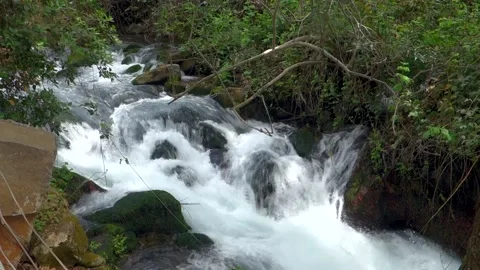 Rough Mountain River Stock Footage 149844996