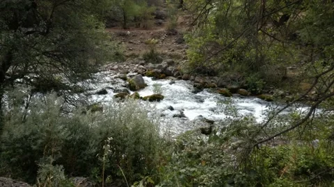 A rough mountain river Stock Footage 160070363