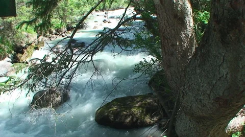 The rough mountain river with pure water Vídeos de archivo 44750689