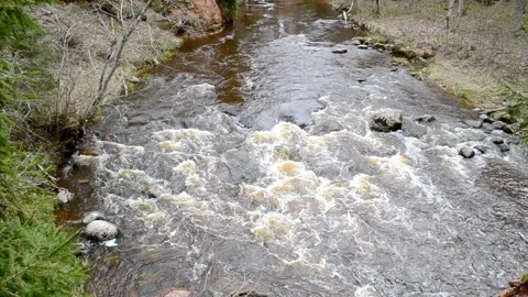 Rough, mountain river for rafting. Fast stream with rapids. Forest on coast. Stock Footage 155289675