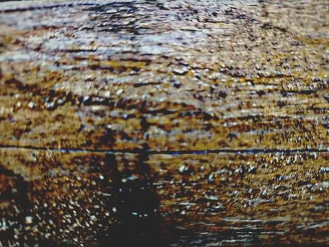 A rough natural wood surface Stock Photos