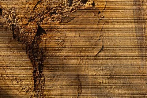 Rough oak wood plank cut saw closeup photo background Stock Photos