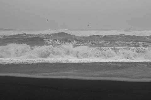 Rough ocean and empty coast monochrome landscape photo Stock Photos