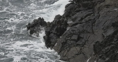 Rough ocean and strong waves, 4K slomo Stock Footage 246333898