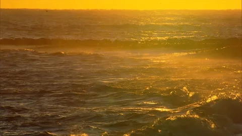 Rough Ocean at Sunrise  Stock Footage 146966557