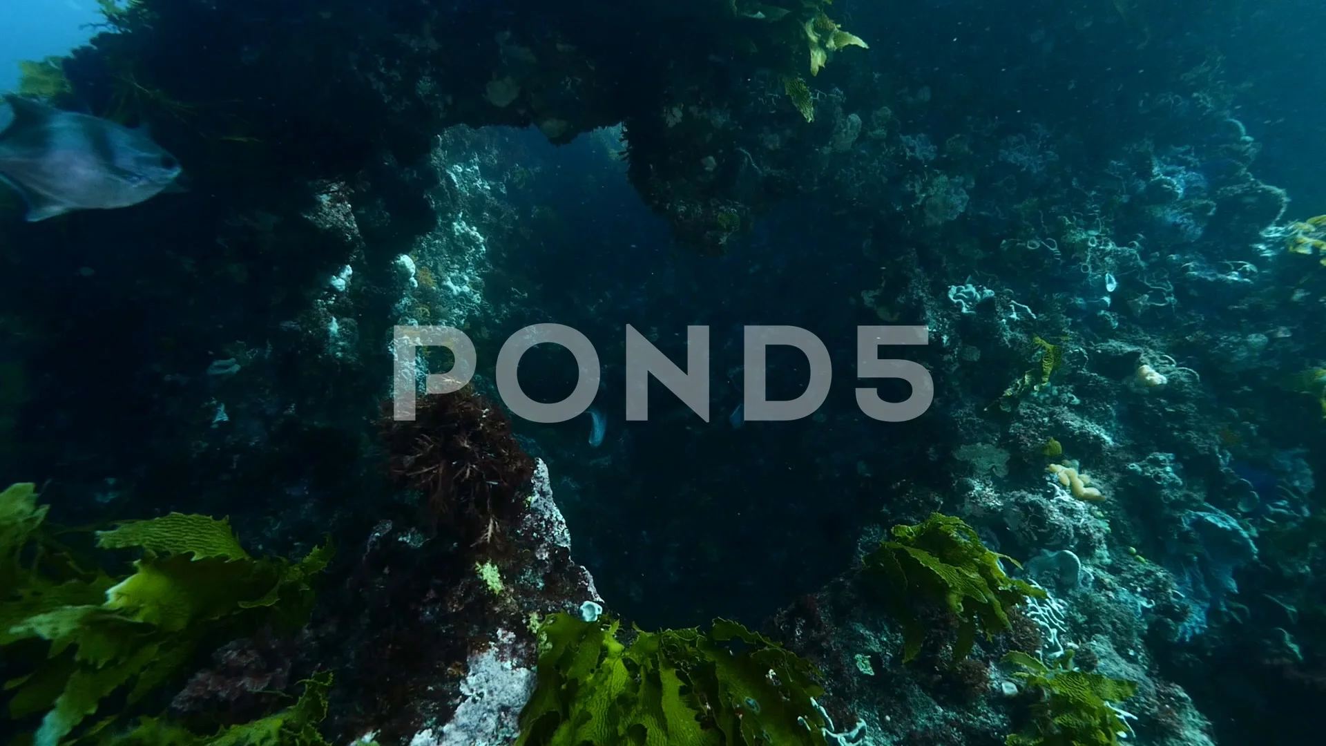 Rough ocean swell underwater waves onto rocky reef