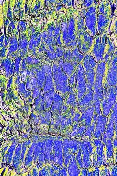 Rough old natural oak bark. Changed color scheme. Stock Illustration