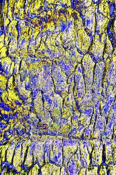 Rough old natural oak bark. Changed color scheme. Stock Illustration