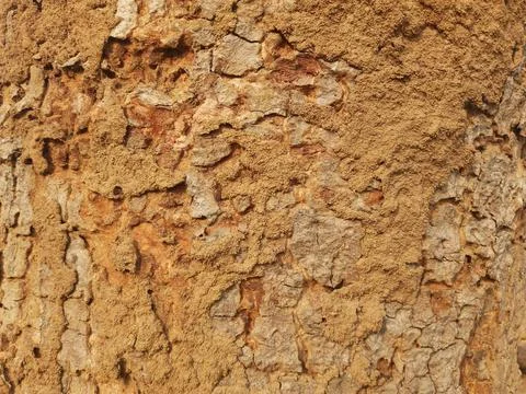 Rough orange wall texture pattern background Stock Photos